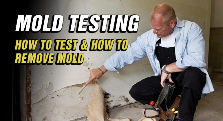 Mold Testing: How to Test for Mold in the House