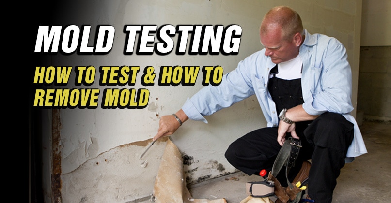 MOLD-TESTING-HOW-TO-TEST-FOR-MOLD-MIKE HOLMES