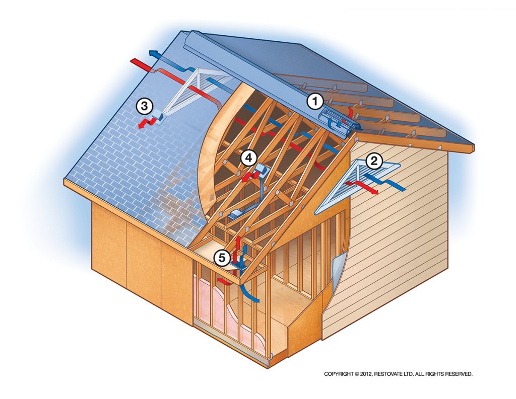 Tips To Prevent Mould In Your Home | Make It Right® - Home Safety ...