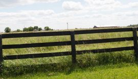 indoor air - by Mike Holmes Jr.