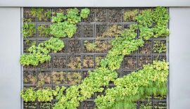 Dos and Don’ts When Building Your Own Vertical Garden