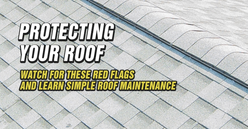 PROTECTING-YOUR-ROOF-FEATURED-IMAGE-2 PROTECTING-YOUR-ROOF-FEATURED-IMAGE-2