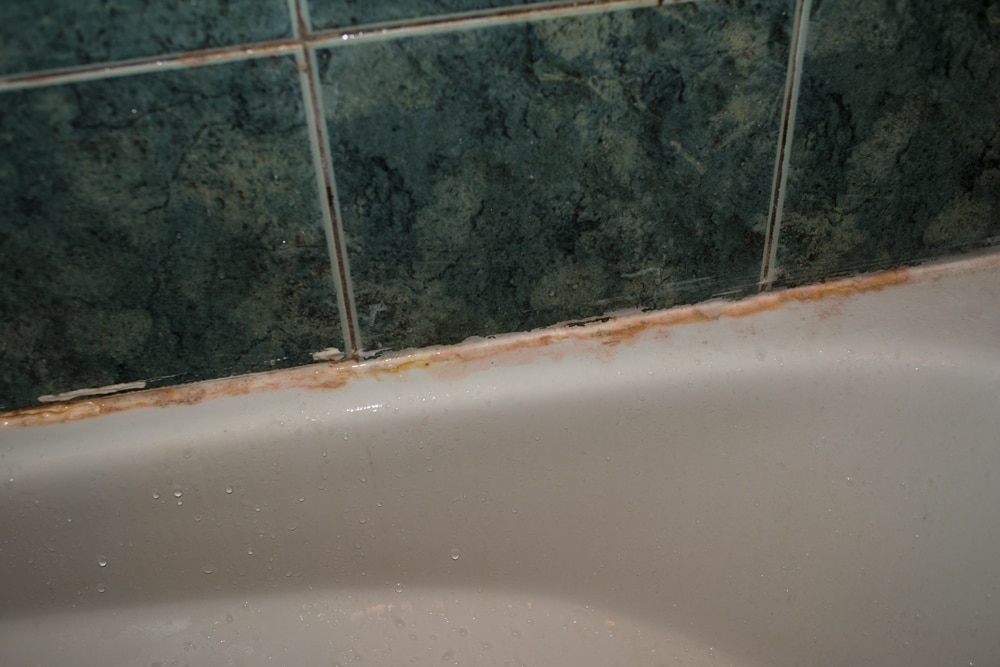mold growth around a tub