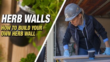 HERB-WALLS-FEATURED-IMAGE