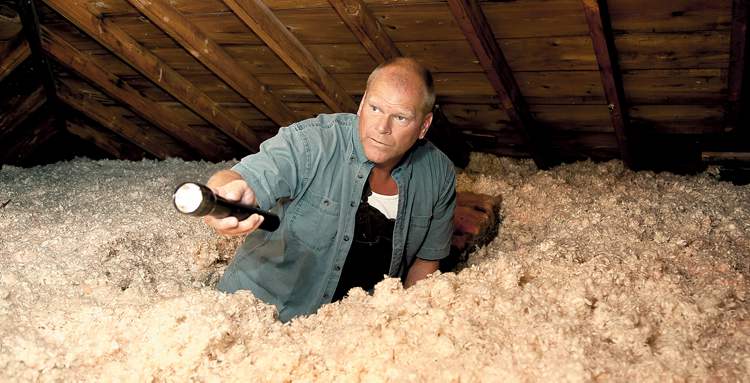 Mike Holmes Roof