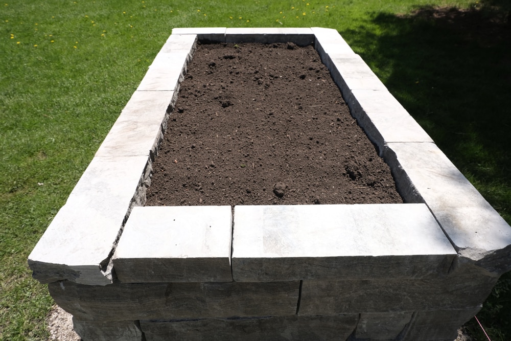 Michael Holmes and his wife Lisa-Marie built raised garden beds and filled them with triple mix soil (soil, peat moss, compost) which is a great soil for a variety of vegetables and herbs.