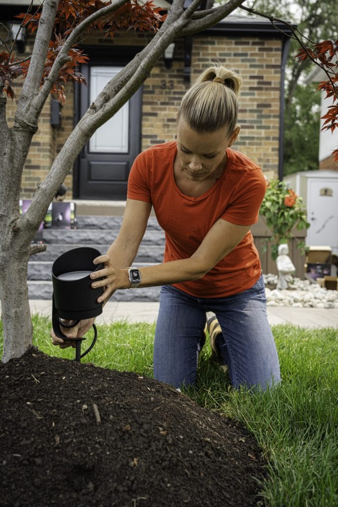 Sherry Holmes installing smart oudoor lights