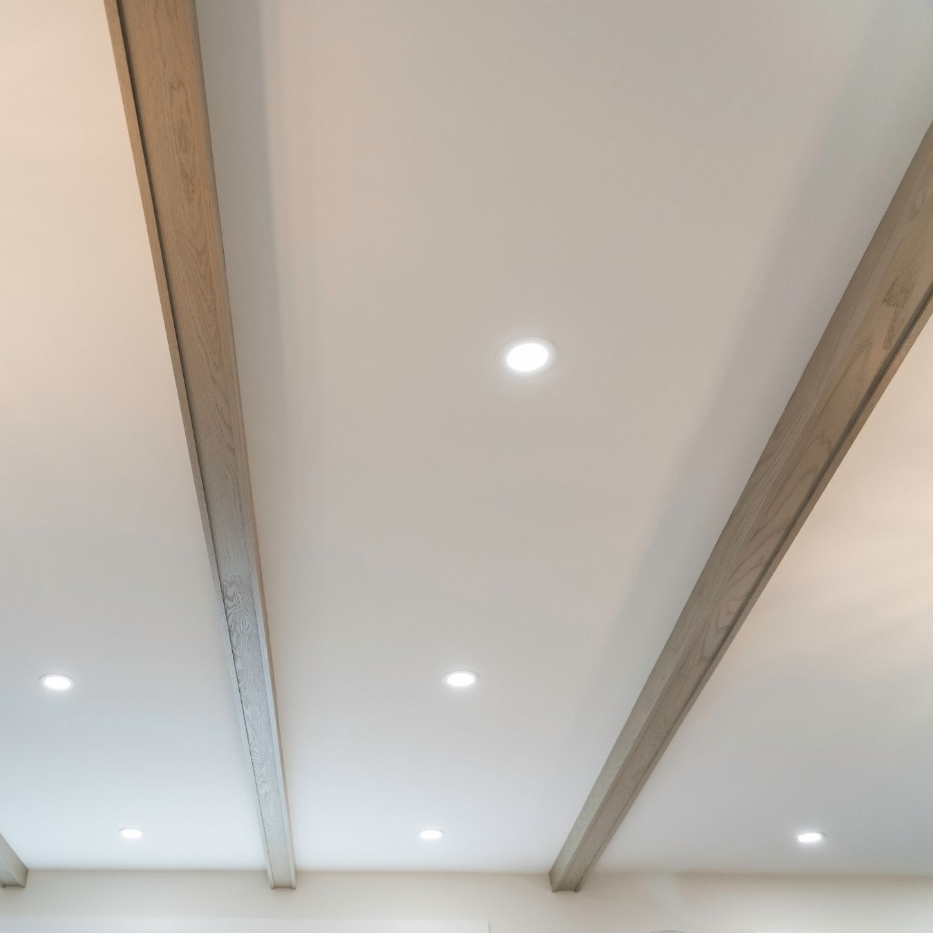 Holmes On Homes Building A Legacy_Episode2_Cottage Life_Lotus LED Lights_1